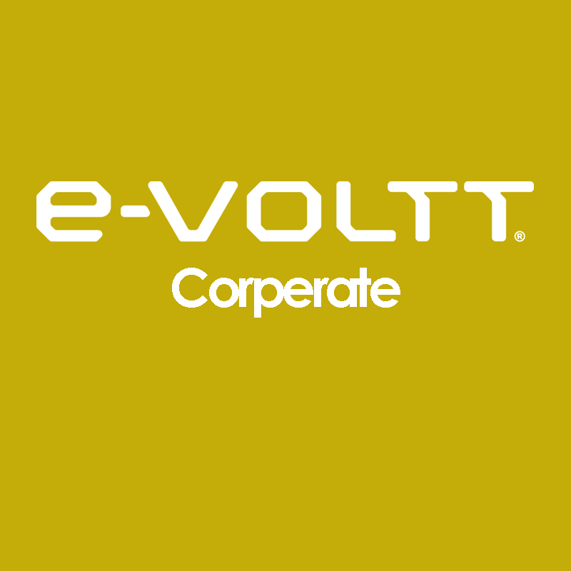 e-VOLTT Corporate - laadstation beheer - 12 maanden abonnement Wallies Charger Wallies Charger EV Charger subscription OSTRA Charger